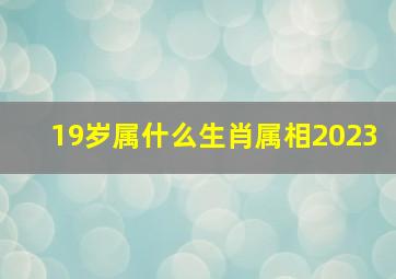 19岁属什么生肖属相2023