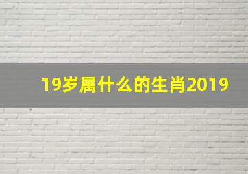 19岁属什么的生肖2019