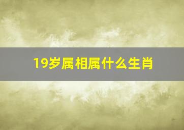 19岁属相属什么生肖