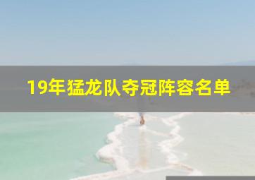 19年猛龙队夺冠阵容名单