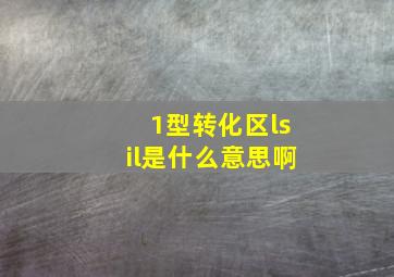 1型转化区lsil是什么意思啊