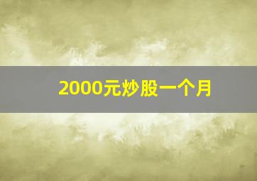 2000元炒股一个月