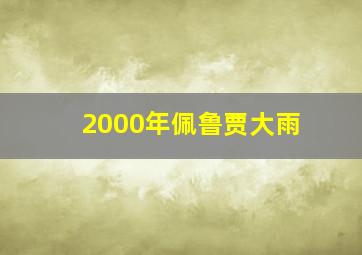 2000年佩鲁贾大雨