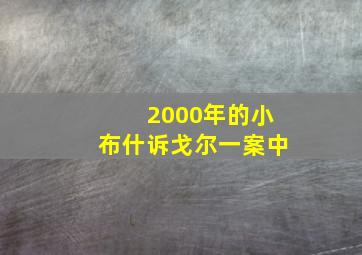 2000年的小布什诉戈尔一案中