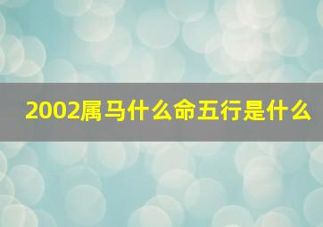 2002属马什么命五行是什么