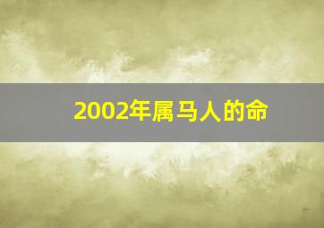 2002年属马人的命