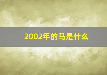 2002年的马是什么