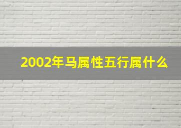 2002年马属性五行属什么