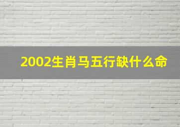 2002生肖马五行缺什么命