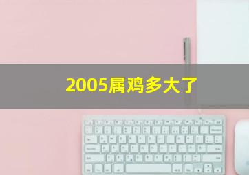 2005属鸡多大了