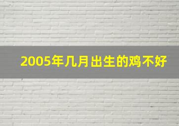 2005年几月出生的鸡不好