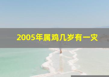 2005年属鸡几岁有一灾