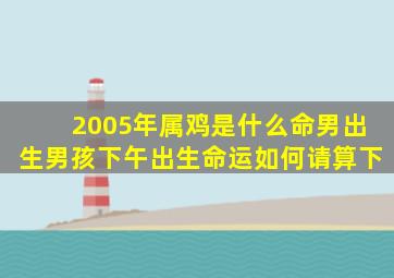 2005年属鸡是什么命男出生男孩下午出生命运如何请算下