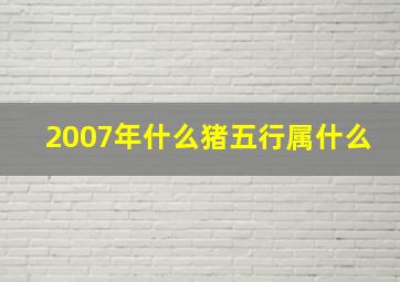 2007年什么猪五行属什么