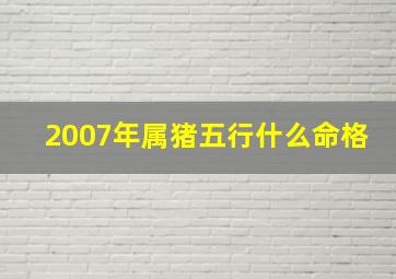 2007年属猪五行什么命格