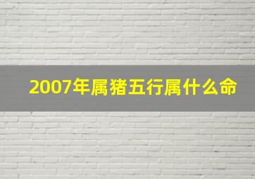 2007年属猪五行属什么命