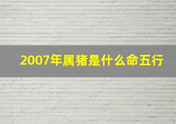 2007年属猪是什么命五行