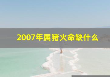 2007年属猪火命缺什么