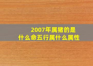 2007年属猪的是什么命五行属什么属性