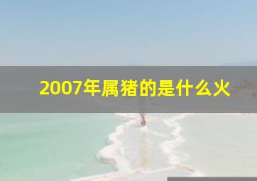 2007年属猪的是什么火