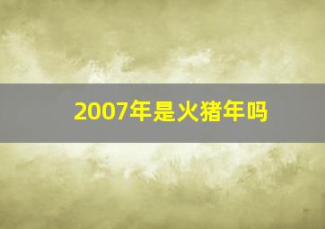 2007年是火猪年吗