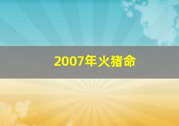 2007年火猪命