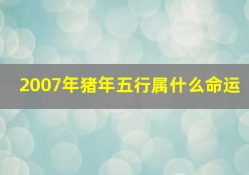 2007年猪年五行属什么命运