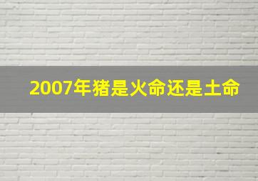 2007年猪是火命还是土命