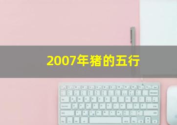 2007年猪的五行