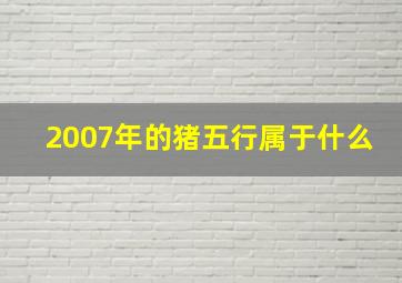 2007年的猪五行属于什么