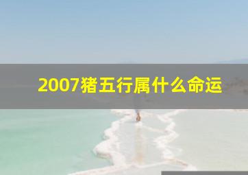 2007猪五行属什么命运