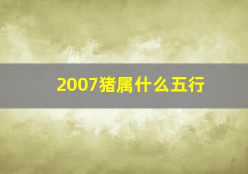 2007猪属什么五行