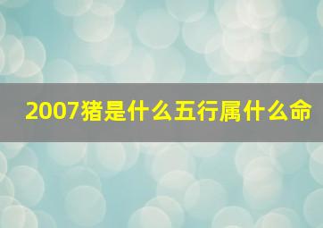 2007猪是什么五行属什么命