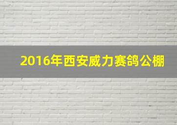 2016年西安威力赛鸽公棚