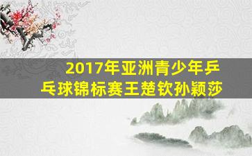 2017年亚洲青少年乒乓球锦标赛王楚钦孙颖莎