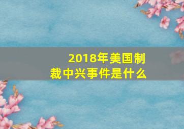 2018年美国制裁中兴事件是什么