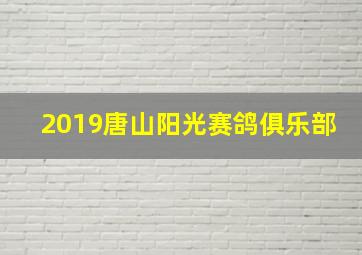 2019唐山阳光赛鸽俱乐部