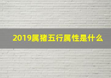 2019属猪五行属性是什么