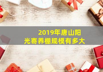 2019年唐山阳光寄养棚规模有多大