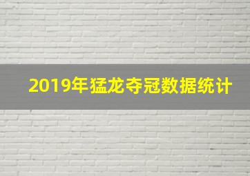 2019年猛龙夺冠数据统计