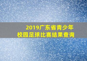 2019广东省青少年校园足球比赛结果查询