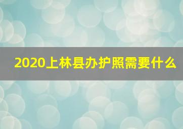 2020上林县办护照需要什么