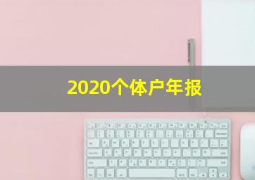 2020个体户年报