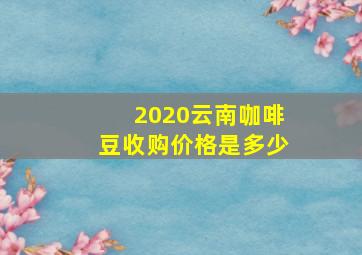 2020云南咖啡豆收购价格是多少