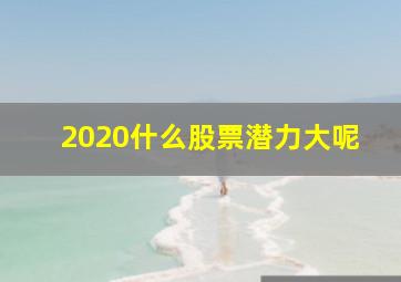 2020什么股票潜力大呢