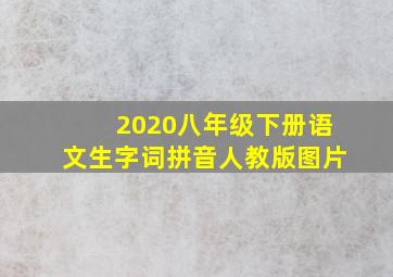 2020八年级下册语文生字词拼音人教版图片