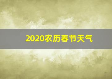 2020农历春节天气