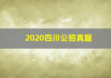 2020四川公招真题