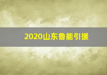 2020山东鲁能引援