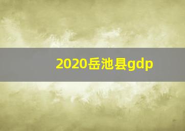 2020岳池县gdp